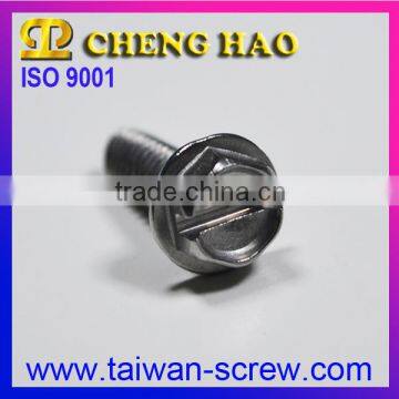 Promotion Product Hex Head Rust Proof Screws