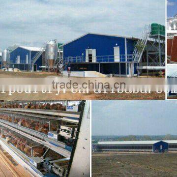 chicken cages equipment for poultry farm