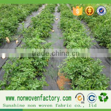 100gsm Weed Control Fabric photo-6