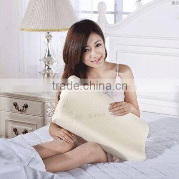 Natural memory foam filled bamboo fiber pillow