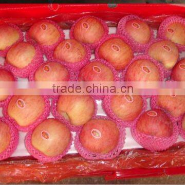 Yantai Red Fuji Apple photo-2