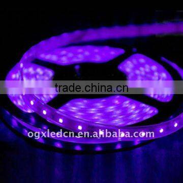 IP68 3528 300led DC12V PURPLE waterproof flexible led strip light