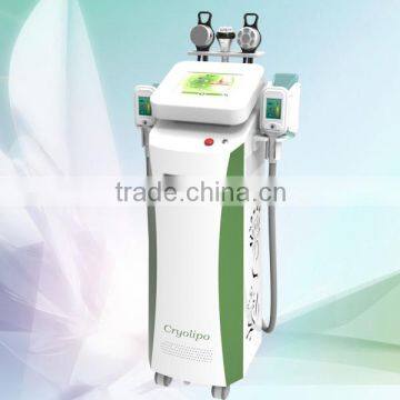 cryolipolysis body shaping cryolipolysis coolshaping