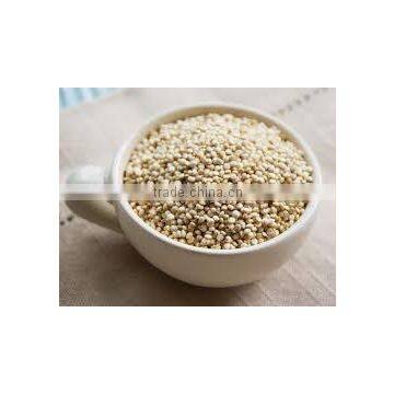 QUINOA SEEDS COMPETITIVE PRICE