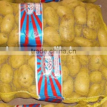 250g Fresh Potato 10kg Bag and Carton Packing