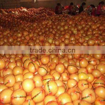 Shatian Pomelo