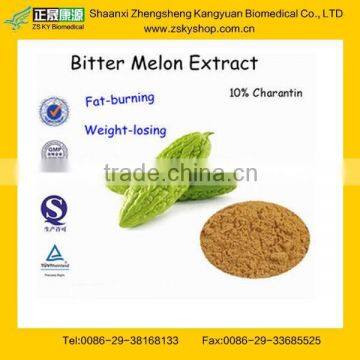 GMP Manufacturer Supply 100% Natural Bitter Melon Extract