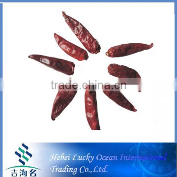 dried red chilli