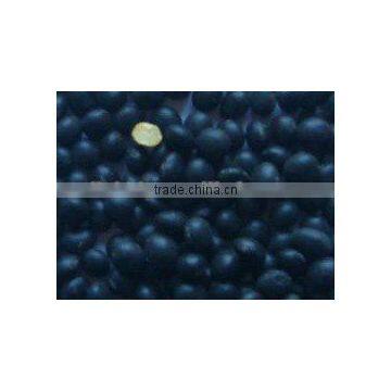 chinese black soybean