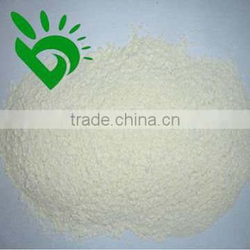 WHITE ONINO POWDER