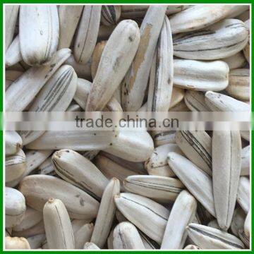 Roasted and Spiced Cheap White Sunflower Seeds With Best Quality for Sale photo-4