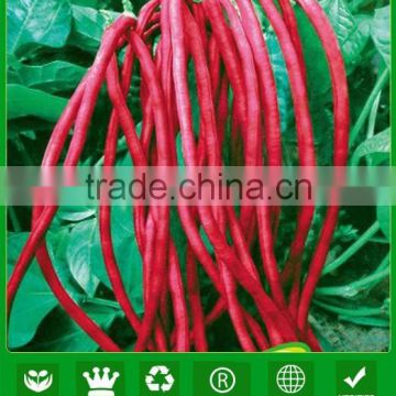 NBE10 Weichi Red bean seeds name of seeds factory