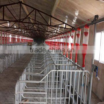Automatic Feeding System for Pig Farm photo-4