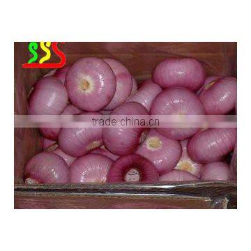 high quality hot sale onion peeler