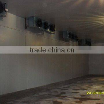 hot sale cold room for poultry