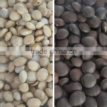 ZRWS Ccd Cereal Nut Color Sorter Supplier With Competitive Price photo-4