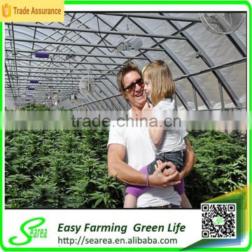 New style single span agricultural plastic greenhouse