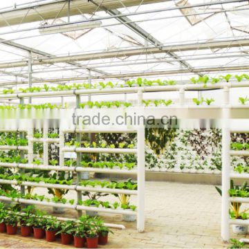 lettuce system hydroponic green house