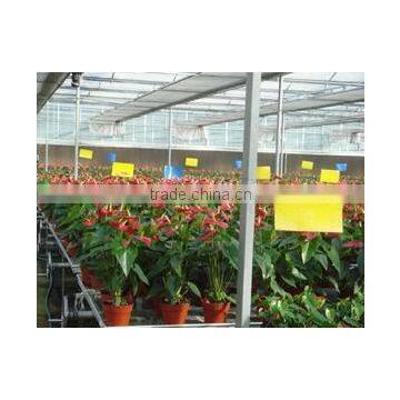 Greenhouse Kits- 2 photo-2