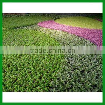Artificial Outdoor Decorative Grass Wall photo-2