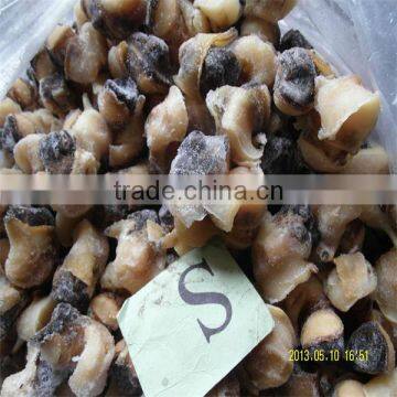 cooked cleaned frozen conch