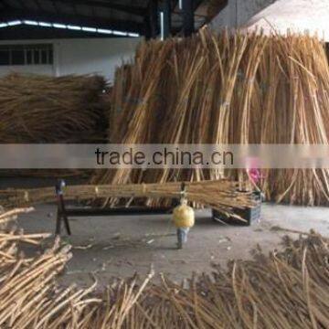 rattan root