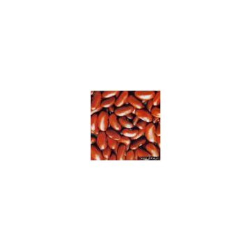 Sell Dark Red Kidney Beans