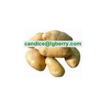 Natural Potato Protein Powder