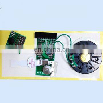 Programmer Sound Chip for Greeting Cards photo-3