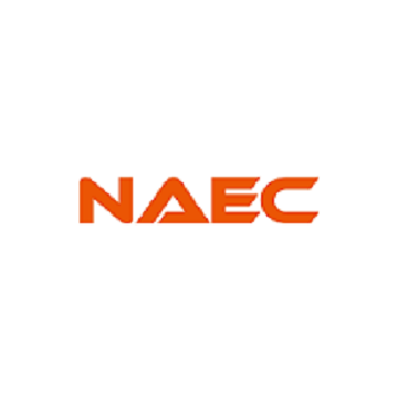Nanjing Auto Electric Company