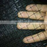 orchard hdpe bird netting plastic bird screen mesh for agriculture