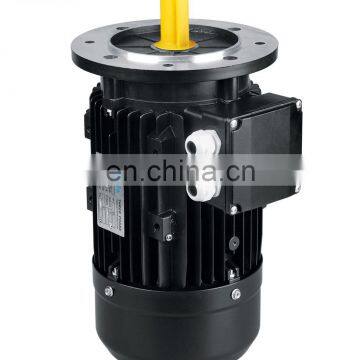 OEM MS series vertical mount electric motor