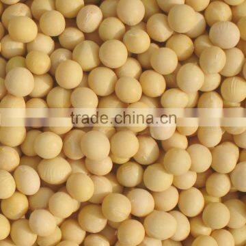 organic high quality soybeans