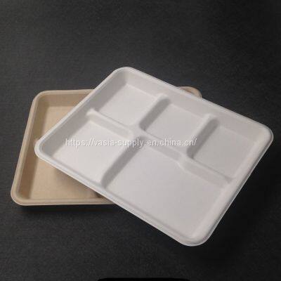 Rectangle Recycled Sugarcane Bagasse Plate 5 Compartment Biodegradable