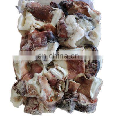frozen squid neck giant indian squid neck indian ocean squid neck