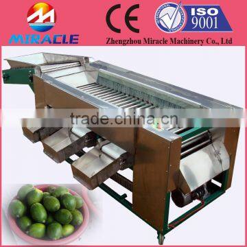 Olive size grading machine/oval fruit grader from fruit process machines