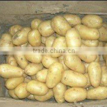 chinese fresh potato