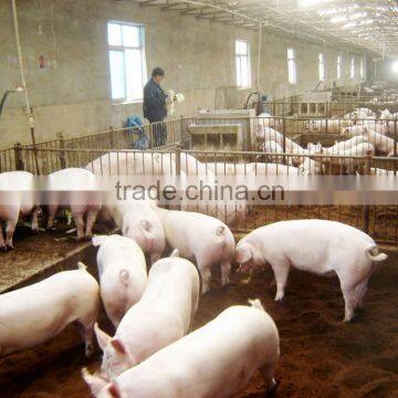 Probiotics for Pigs and Chicken Drinking Additive photo-4