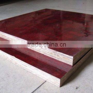 Bamboo Plywood 18mm photo-5