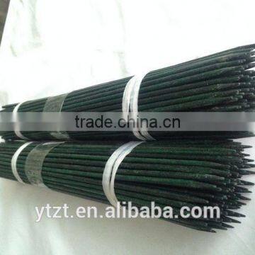 Dried supporting bamboo plant sticks