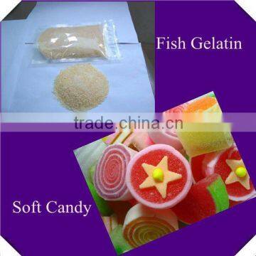 edible fish gelatin
