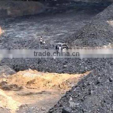 Coal