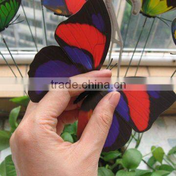 Garden Stick Butterfly