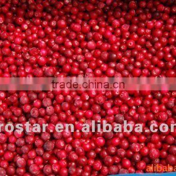 IQF Frozen lingonberry topsales