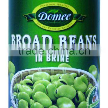 Canned Broad Beans in brine,broad beans,canned vegetable