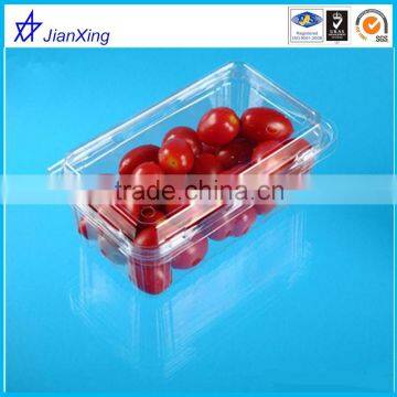 BPA FREE Plastic Disposable Fresh Strawberry Fruit Packaging Box photo-3