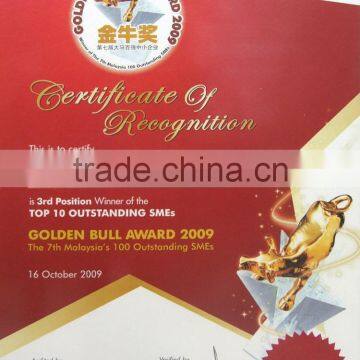 Golden Bull Award 2009