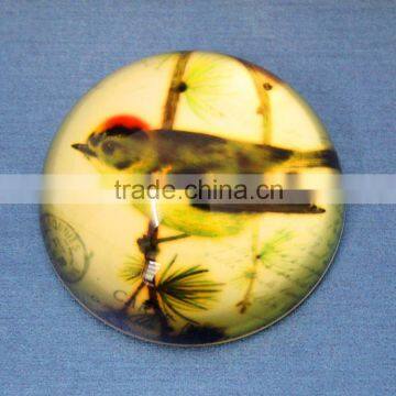 decoration new design paperweight