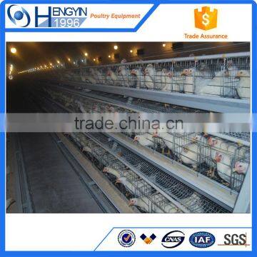 Factory Since 1996 Chicken Cage for Layer Poultry Farm for Sale photo-5