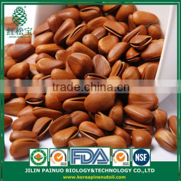 Bulk New Harvested Particle Filled Open Pine Nuts in Shell